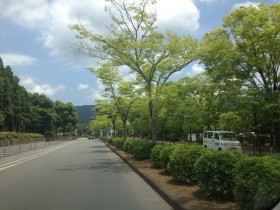 京都地下鉄、国際会館駅前