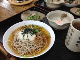 2014/8/1 本日のお昼ご飯☆「とろろそば」「温泉卵」「酢味噌和え」