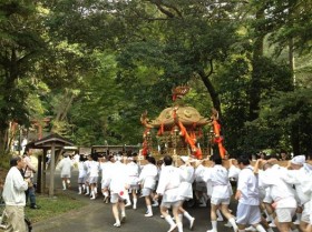 4014/10/12 お神輿が通りました!氏神さん「長谷八幡宮」のお祭りです!!